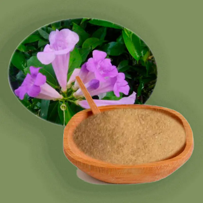 Ajos Sacha (Mansoa alliacea) en Polvo