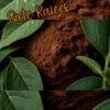 Siete Raices en Polvo