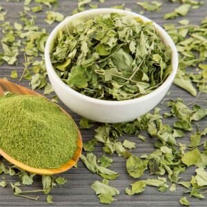 Stevia (Stevia rebaudiana) – La Dulzura Ancestral del Bosque