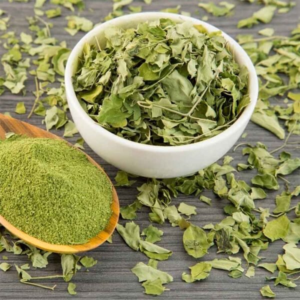 Stevia (Stevia rebaudiana) – La Dulzura Ancestral del Bosque