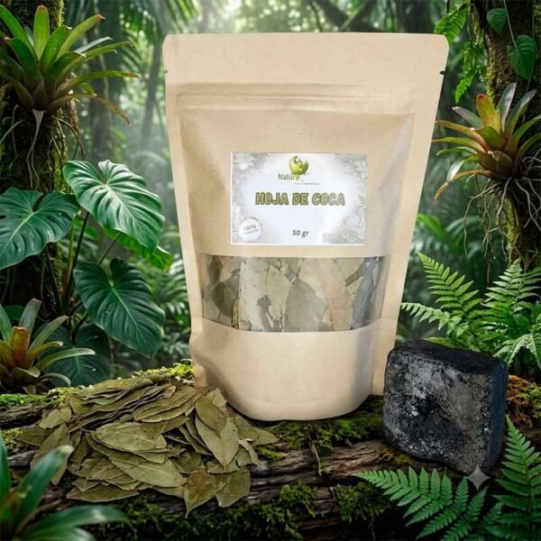 Hoja de Coca (Erythroxylum coca)