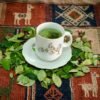 Hoja de Coca (Erythroxylum coca)
