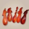 Cuchara Ceremonial de Madera Palisangre con Tallados de Fauna Amazónica – Instrumento Artesanal para Mambe